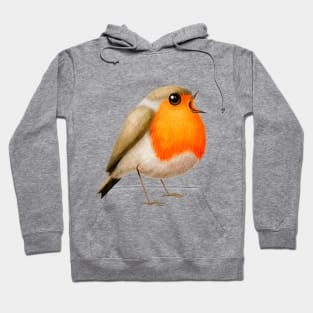 Robin Hoodie